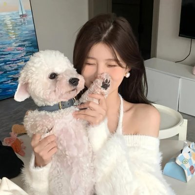 法姐之战